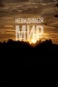 Невидимый мир (2012)