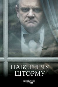 Навстречу шторму (2009)